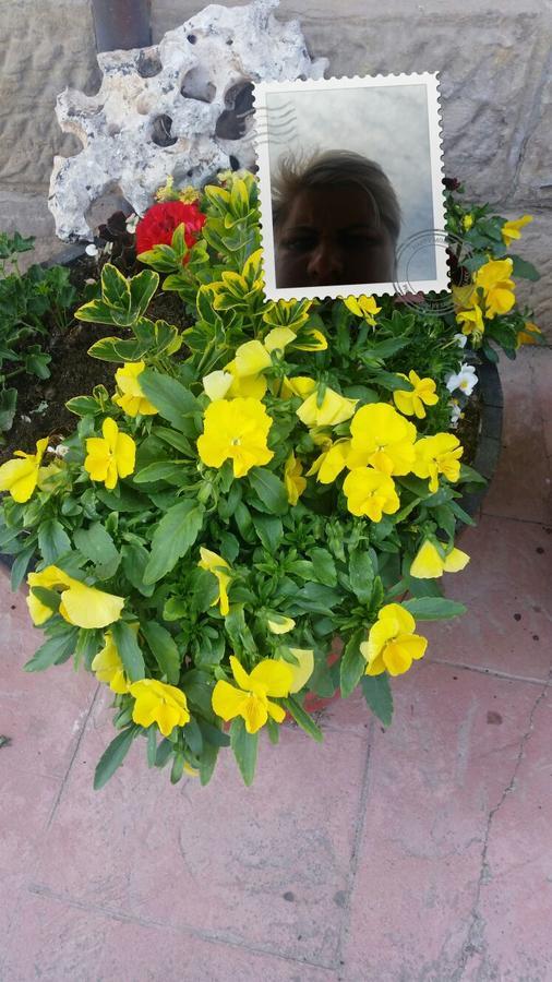 폴리엔테스 El Cuartelillo Viejo 게스트하우스 외부 사진